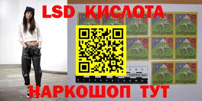 крисы Донской