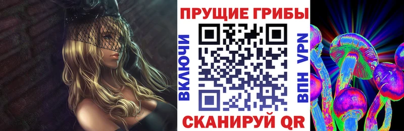 Галлюциногенные грибы Psilocybine cubensis Спасск-Дальний