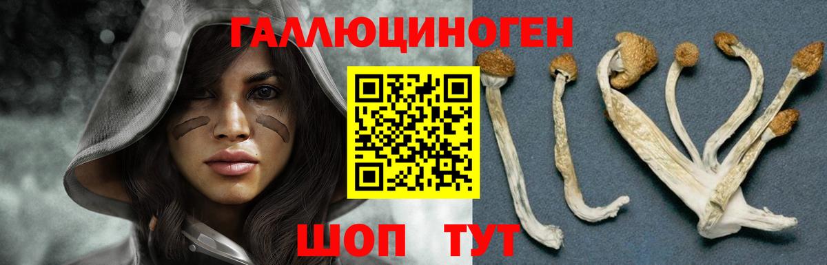 Спасск-Дальний  Галлюциногенные грибы Psilocybine cubensis  Галлюциногенные грибы MAGIC MUSHROOMS  Вход с VPN 